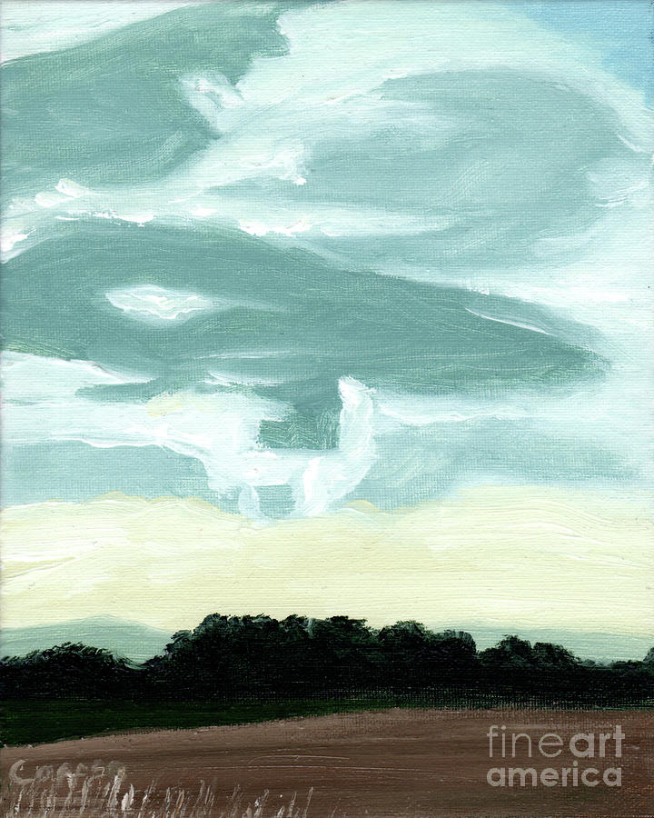 Late Afternoon Clouds Over the Wood Painting by Robert Coppen