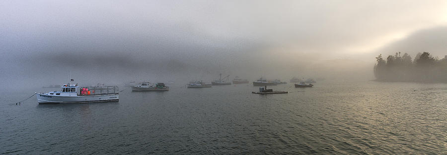 Late Afternoon Fog At Cutler Harbor Photograph by Marty Saccone