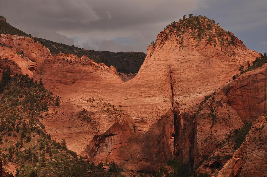 Late Afternoon in Kolob Canyon of Zion National Park Photograph by Frank Madia