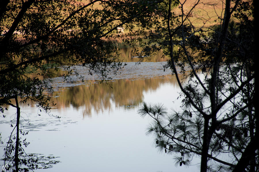 Late Afternoon Lake Beauty Photograph