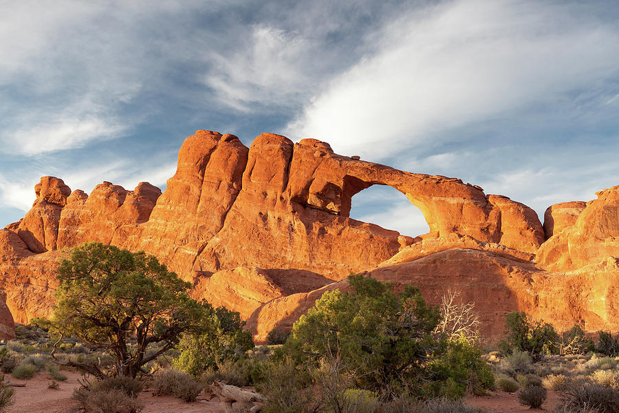 Late Afternoon Light on Skyline Arch Photograph by David Watkins