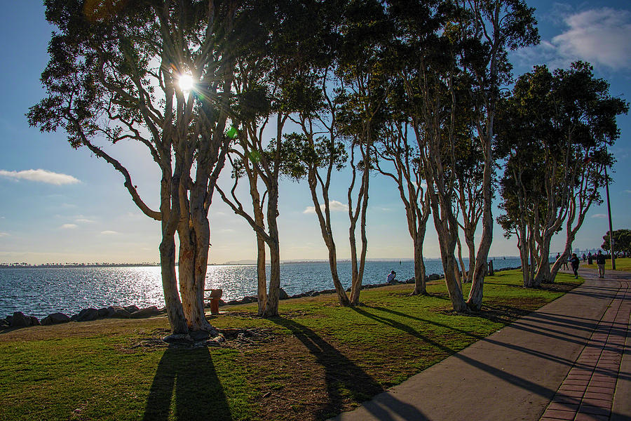 Late Afternoon On Mission Bay San Diego Photograph by Kenneth Roberts