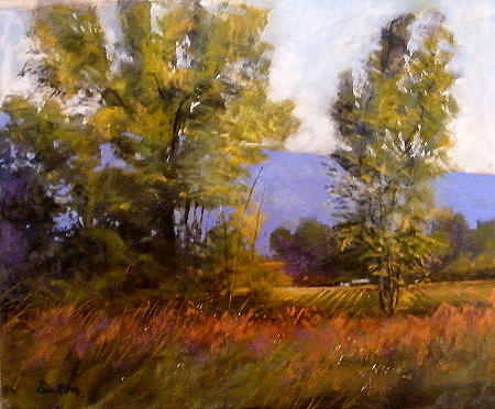 Iowa Landscape Painting - Late Afternoon Sun by Tom Christopher