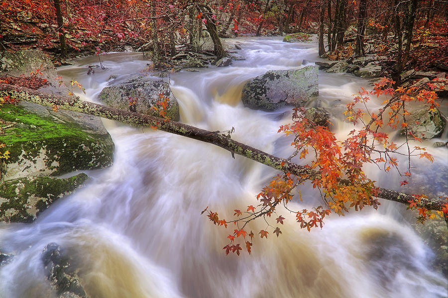 Late Autumn at Cedar Creek - Petit Jean State Park - Arkansas Photograph by Jason Politte