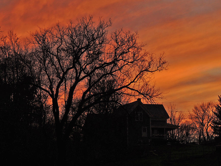 Late Autumn Sunset Photograph by Nancy Griswold