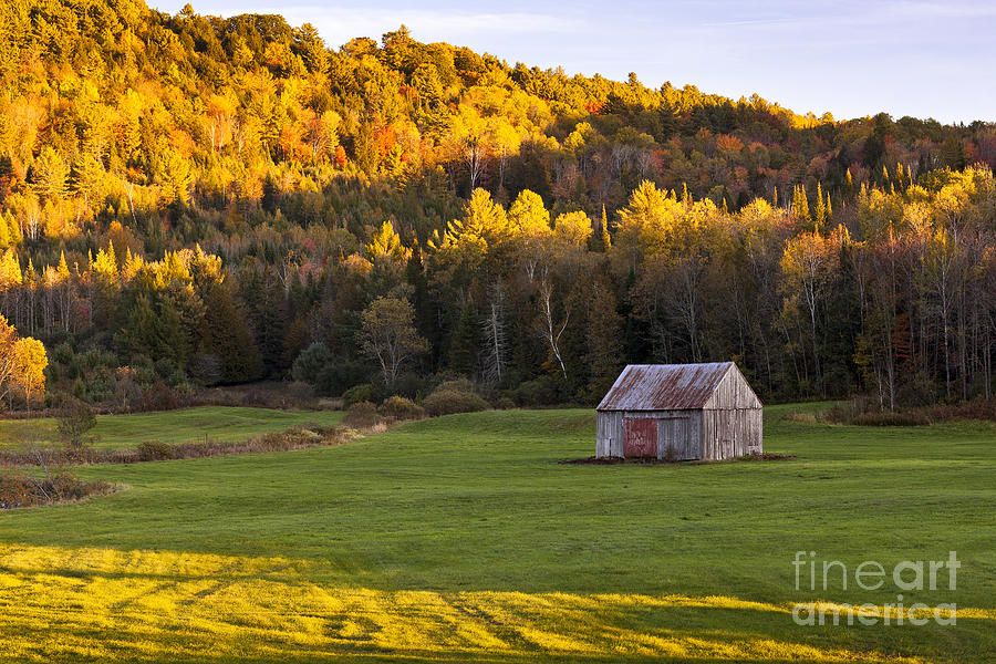Late Day Autumn Landscape Photograph by Alan L Graham