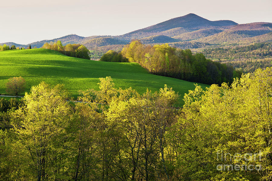Late Day Spring Landscape Photograph by Alan L Graham