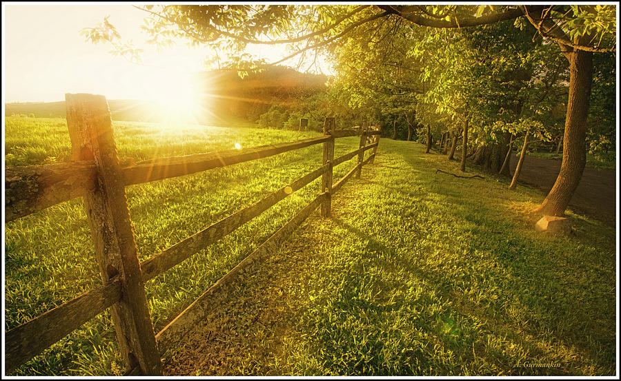 Late Day Sun, Country Meadow Photograph by A Macarthur Gurmankin