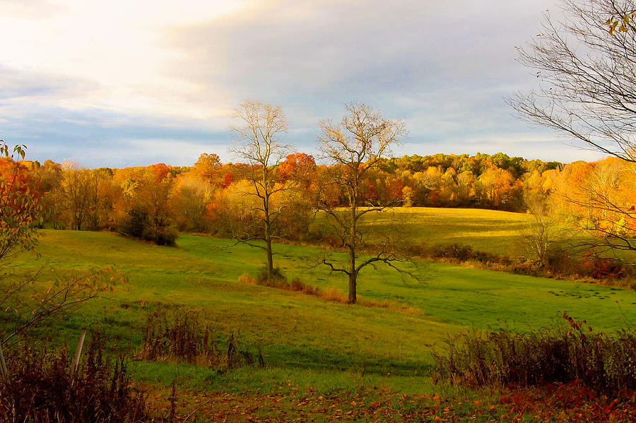 Late Day Sun Photograph by Debbie Gracy | Fine Art America