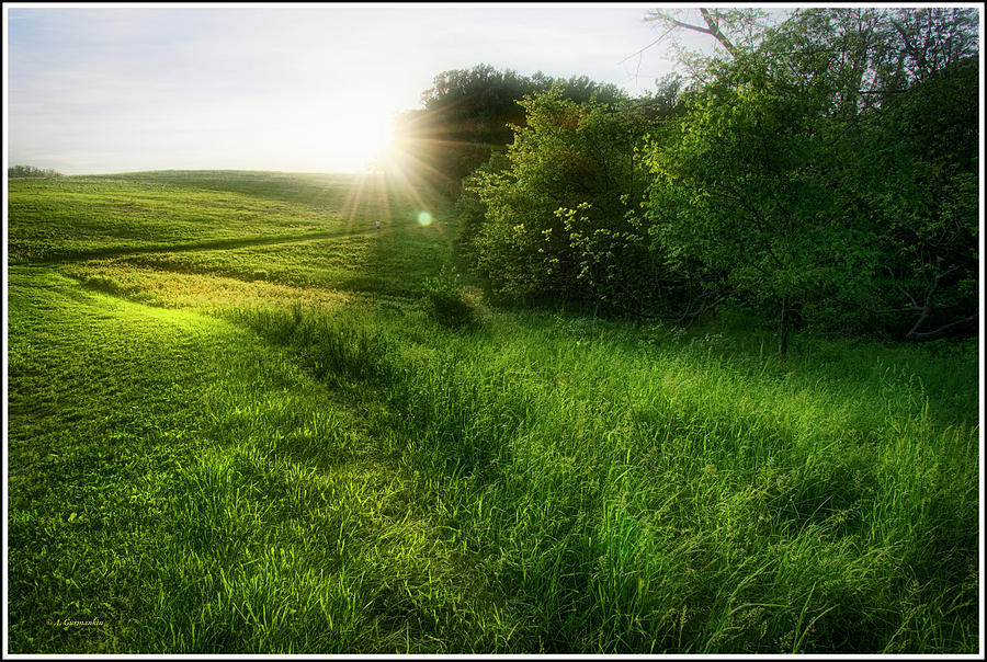 Late Day Sunburst, Hill and Meadow, Montgomery County, Pennsylva Photograph by A Macarthur Gurmankin