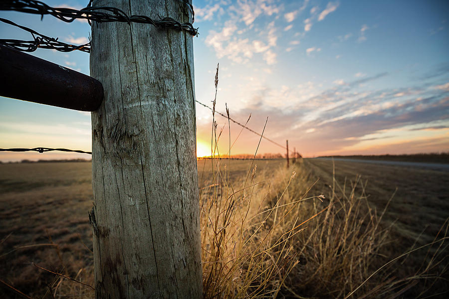 Sunset Photograph - Late December - Sunset Along Fence Row in Oklahoma by Southern Plains Photography