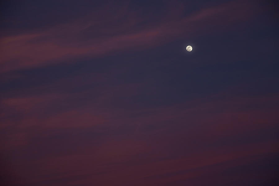 Late Dusk Moon with Pink and Blue Sky Photograph by Steve Wile | Pixels