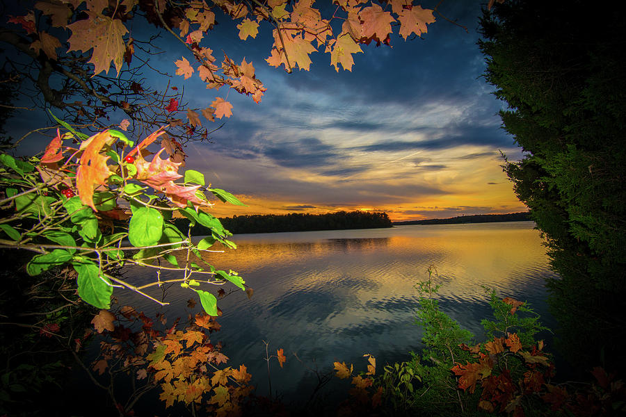 Late Evening Lake Leaf Sunset Photograph by Randall Branham