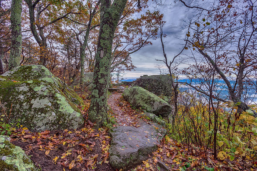 National Parks Photograph - Late Fall at Thunder Ridge  by Mike Yeatts