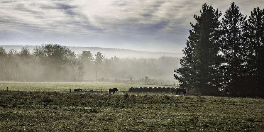 Late fall morning in the countryside Photograph by Eduard Moldoveanu