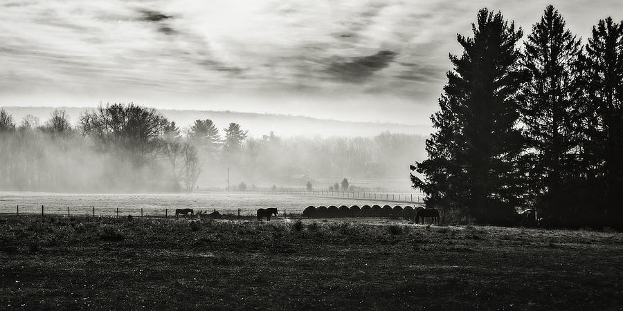 Late fall morning in the countryside black and white Photograph by Eduard Moldoveanu