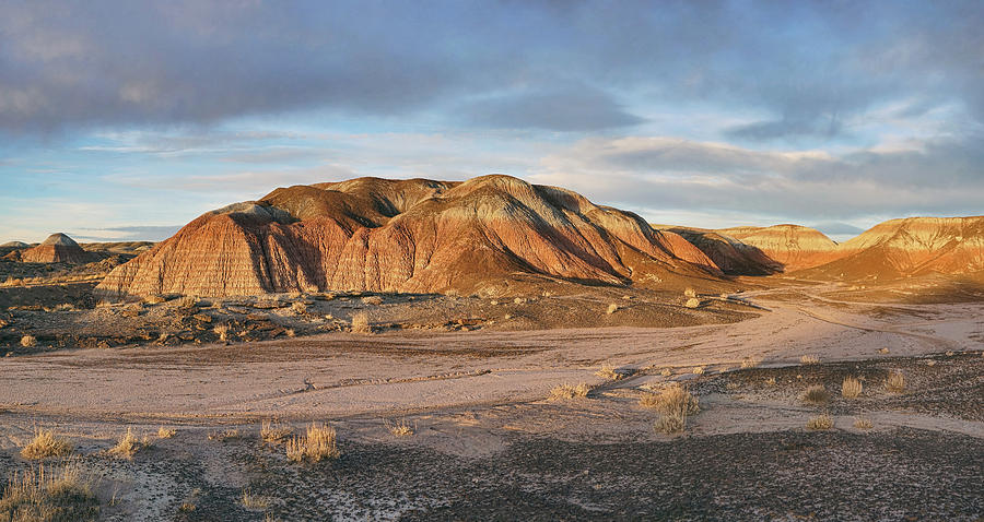Late Light at Painted Desert Photograph by Theo OConnor