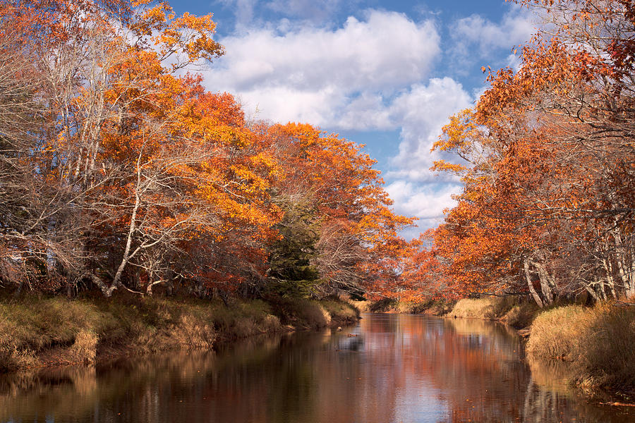 Late October Moment Photograph by Irwin Barrett - Fine Art America