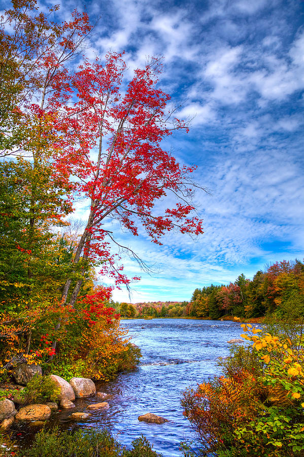 Late September on the Moose River Photograph by David Patterson