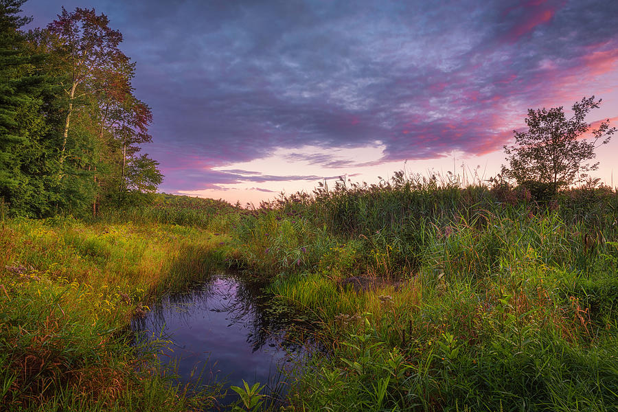 Late Summer Color at Blue Marsh Photograph by Kim Carpentier