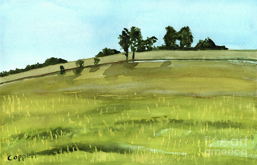 Late Summer Fields Painting by Robert Coppen
