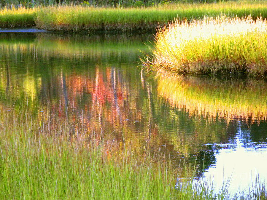 Stillness Of Late Summer Marsh  Photograph by Sybil Staples