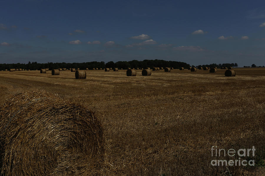 Late Summer Straw Bails - Normandy France Photograph by Julian Wicksteed