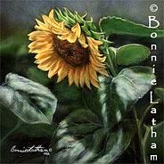 Miniature Painting - Late Summers Gold - Sunflower by Bonnie Latham Miniature Painting - Late Summers Gold - Sunflower by Bonnie Latham