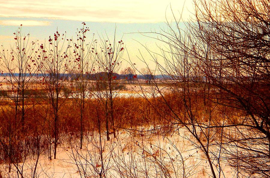 Winter Photograph - Late Winter at Emiquon by Helen ONeal Winter Photograph - Late Winter at Emiquon by Helen ONeal