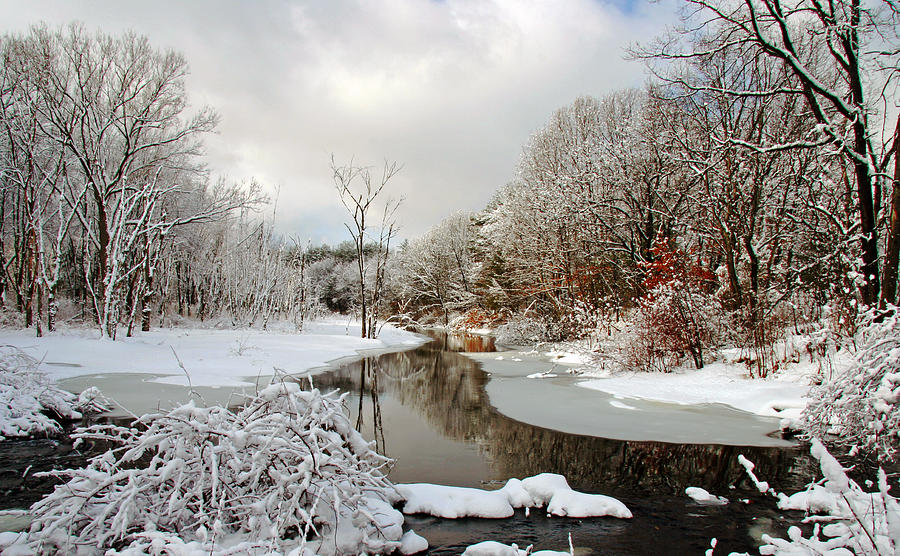 Winter Photograph - Late Winter Storm by Frank Winters