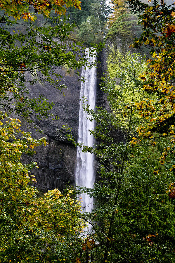 Latourell Falls Photograph by Albert Seger