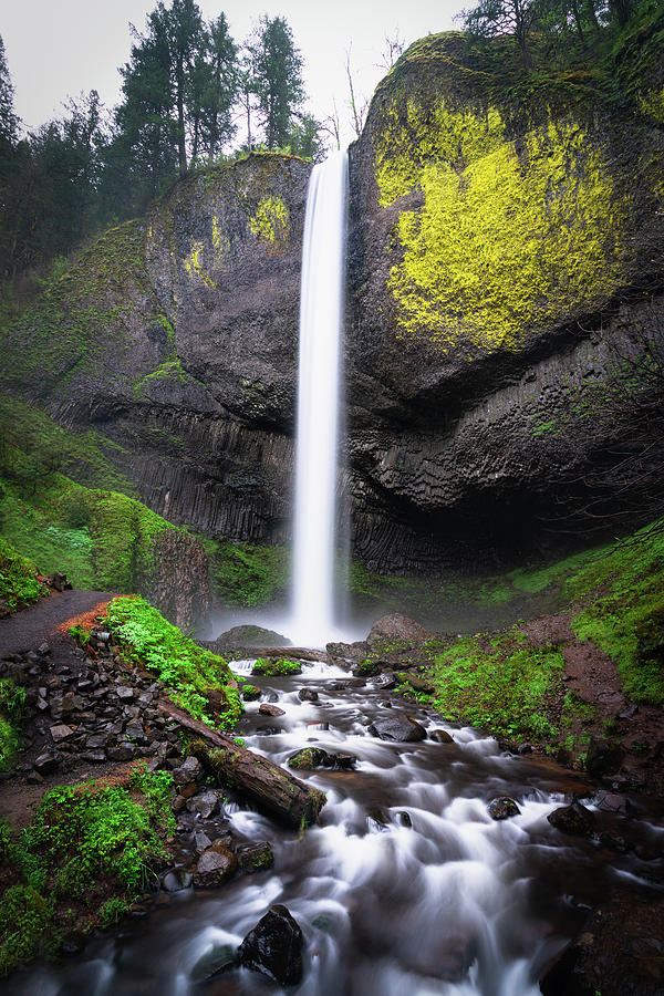 Latourell Falls In Oregon Photograph