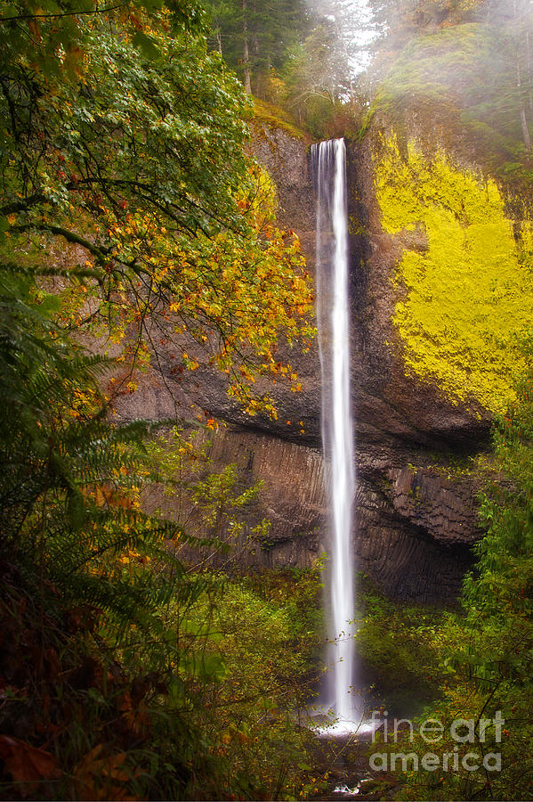 Latourell Falls in the Fall Photograph by Sonya Lang