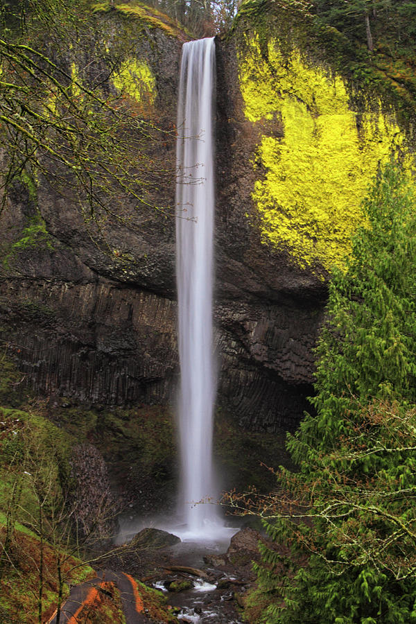 Latourell Falls Photograph by Marshall Powell Photography - Fine Art ...