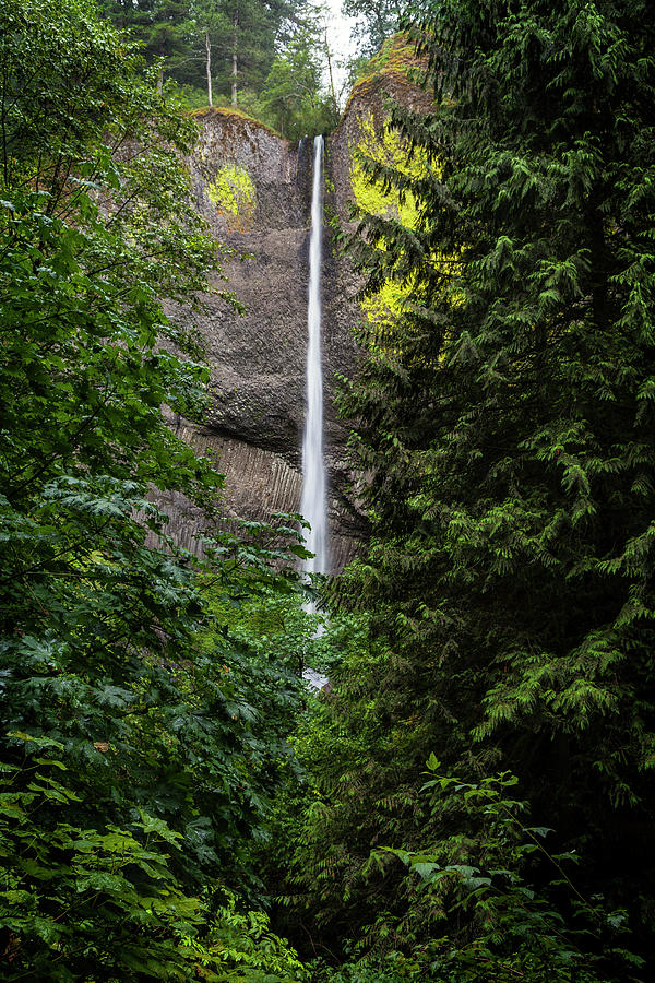 Latourell Falls Photograph by Rick Pisio