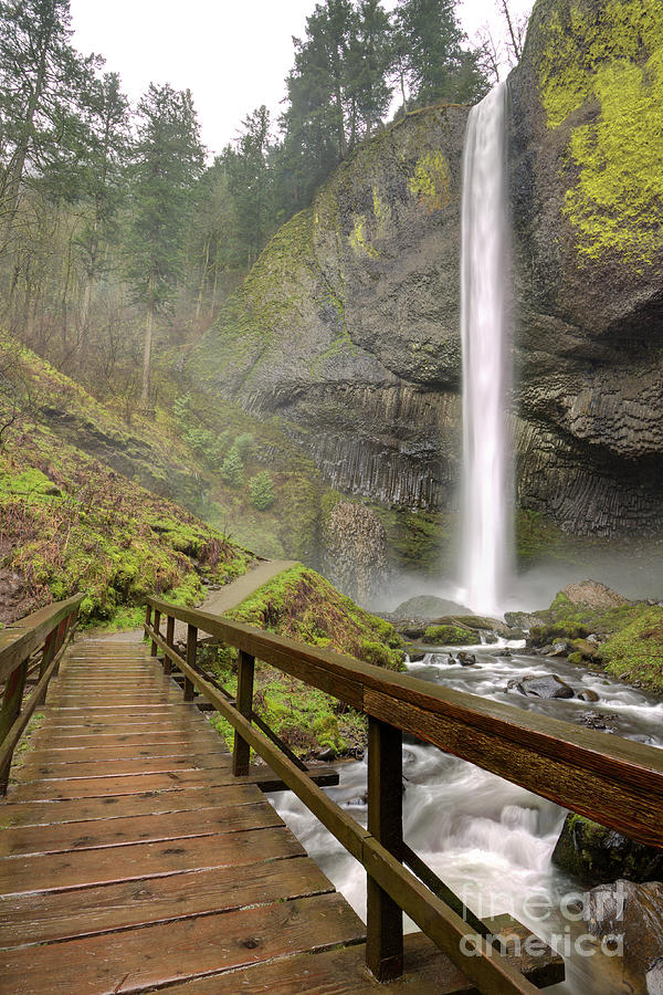 Latourell Falls Waterfall and Bridge Columbia River Gorge Oregon Photograph by Dustin K Ryan