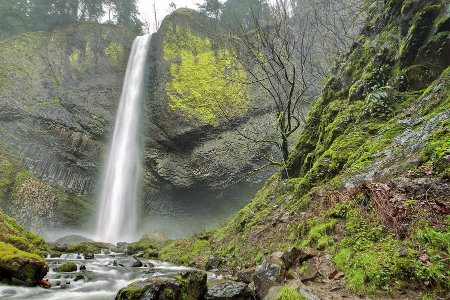 Latourell Falls Waterfall Columbia River Gorge Oregon Photograph by Dustin K Ryan