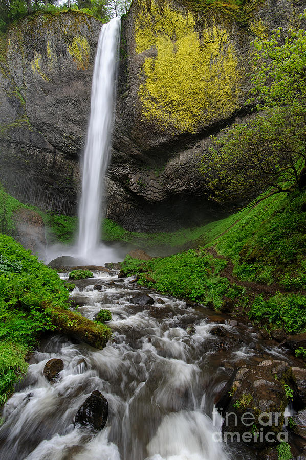 Latourelle Falls Photograph by Jeff Norton - Fine Art America