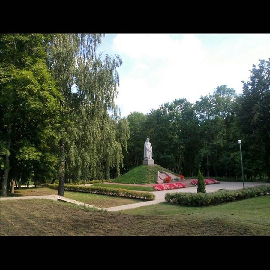 Park Photograph - #latvija #ludza #latvia#park#monument by Olga Strogonova