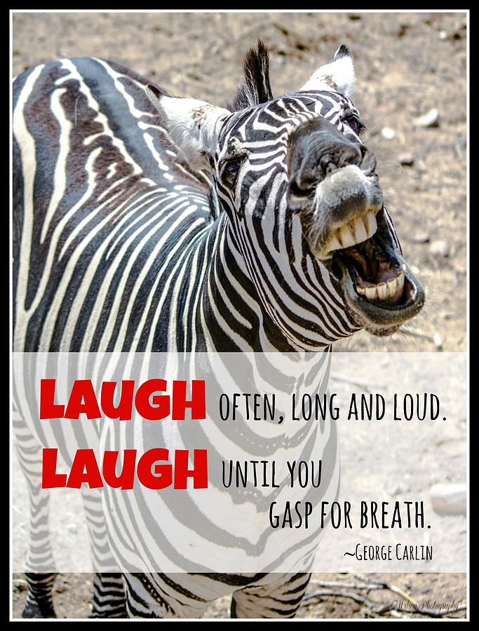 Laugh Photograph by Teresa Wilson