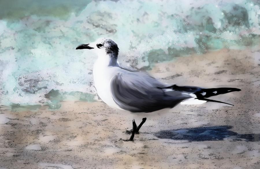 Laughing Gull Art Painting by Barbara Chichester
