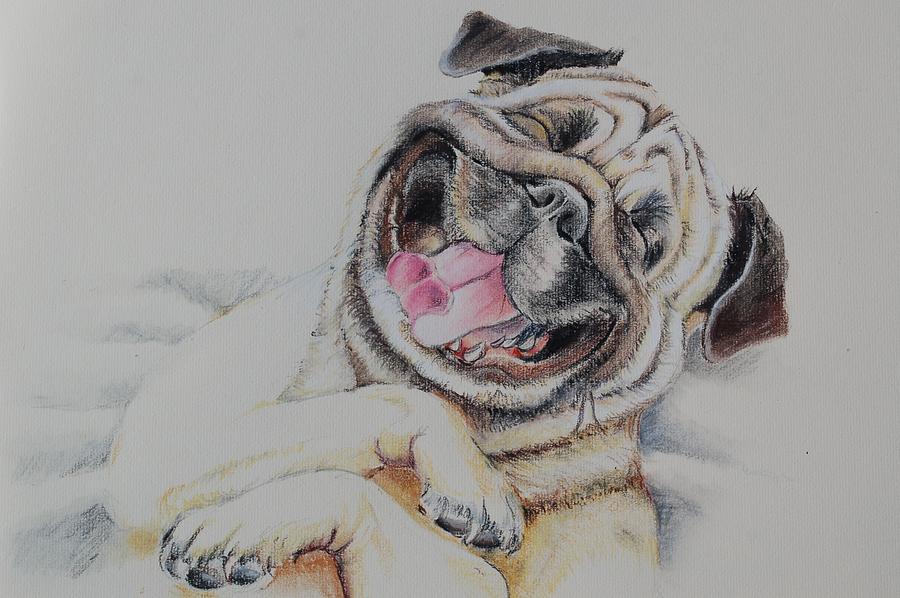 Laughing Pug Painting by Teresa Smith