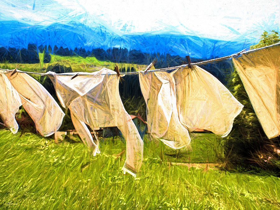Laundry Digital Art by Dale  Witherow