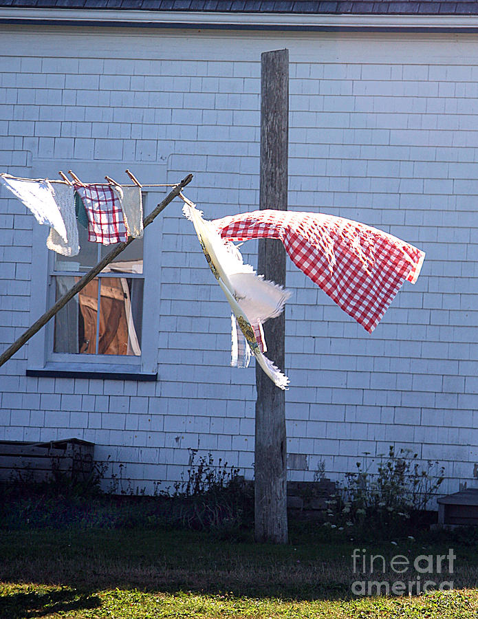 Laundry Day Photograph by Brenda Giasson