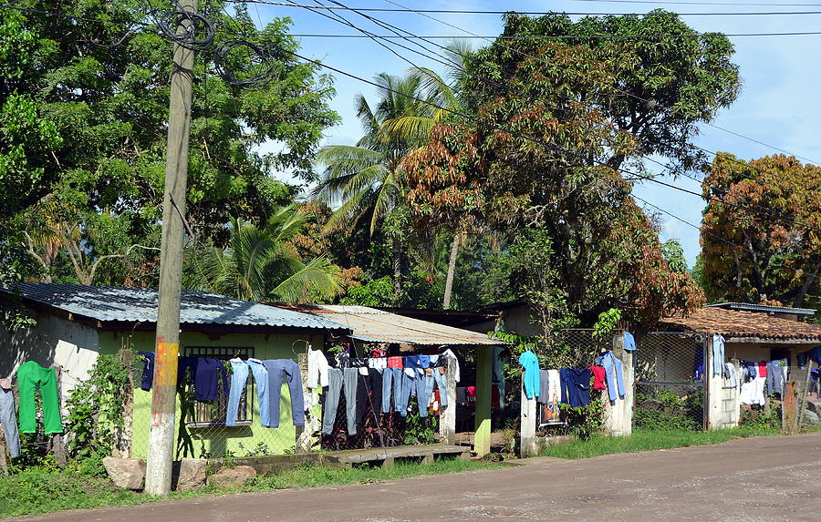 Laundry Day in Honduras Photograph by Carla Parris