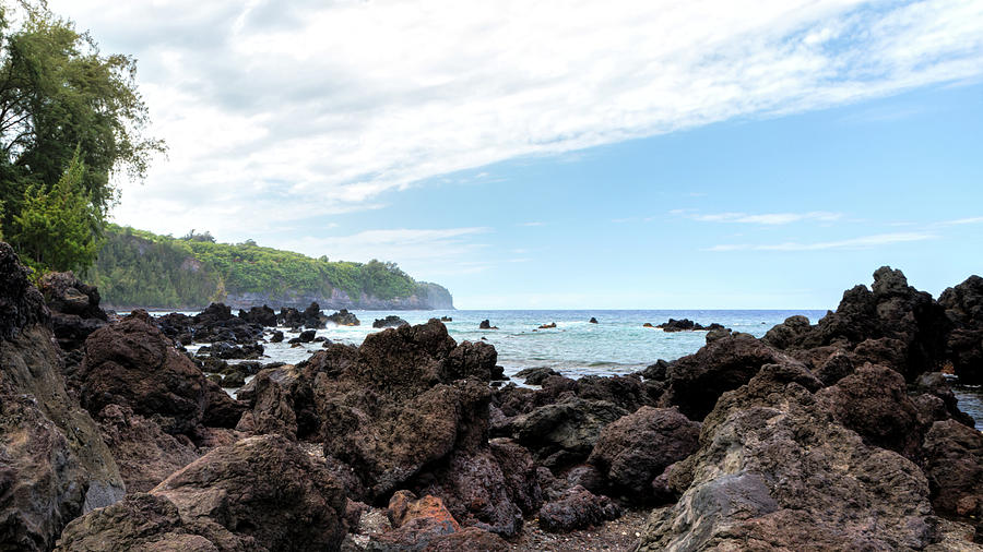Laupahoehoe Point Photograph by Susan Rissi Tregoning