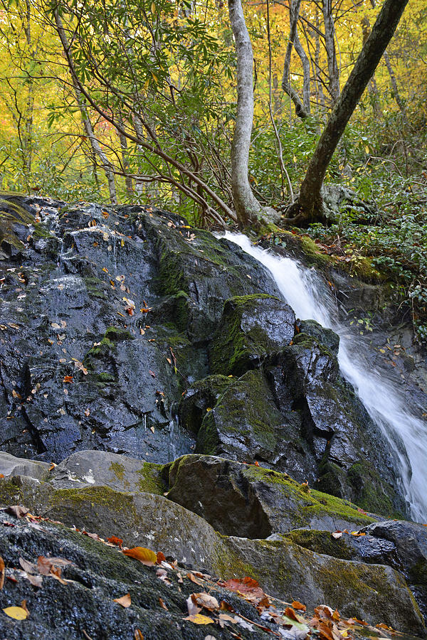 Laurel Falls Great Smoky Mountains National Park Photograph by Bruce Gourley