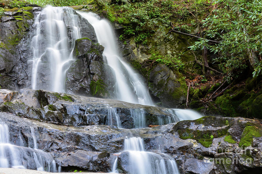 Laurel Falls Photograph by Steven Lichti - Fine Art America