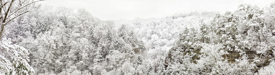 Laurel Gorge Snow fall Photograph by Randall Evans