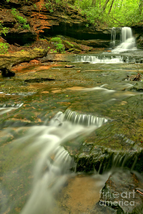 Laurel Highlands Waterfall Portrait Photograph by Adam Jewell